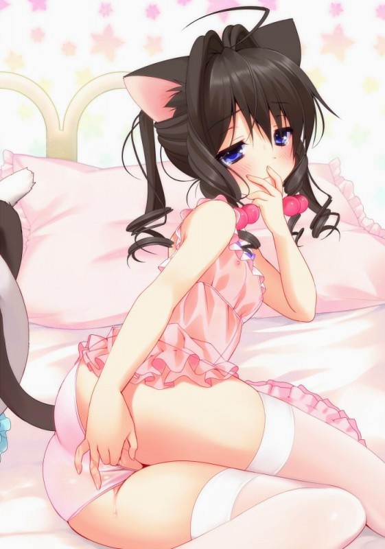  ,  ,    ,      .       ,       